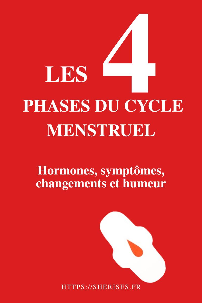 Les 4 phases du cycle menstruel : hormones, symptômes, changements et humeur